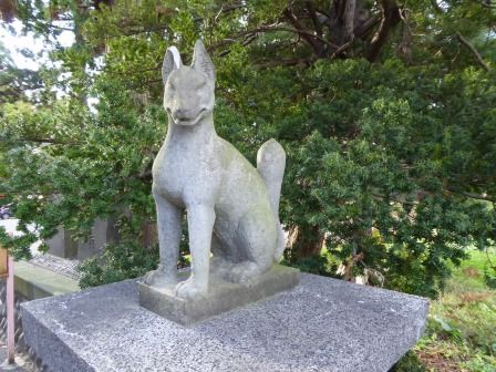 イメージ 17