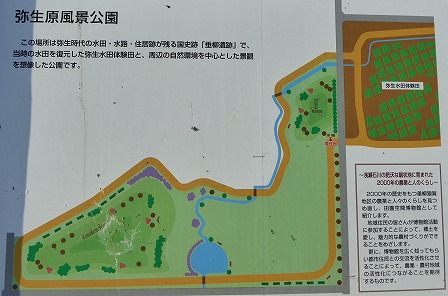 イメージ 48