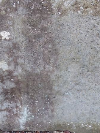 イメージ 7
