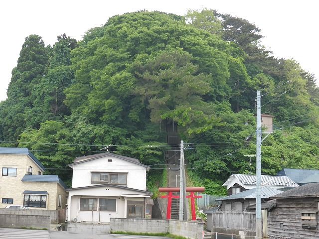 イメージ 17