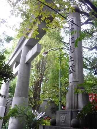 イメージ 15