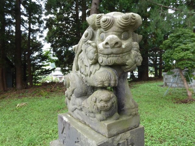 イメージ 12