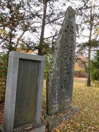 イメージ 28