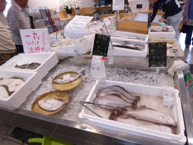 イメージ 12