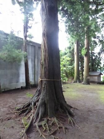 イメージ 4