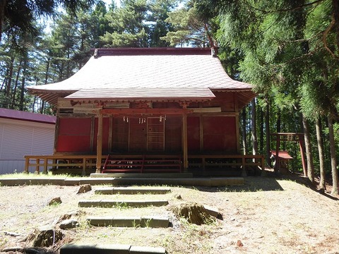 20
