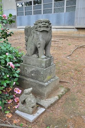 イメージ 27