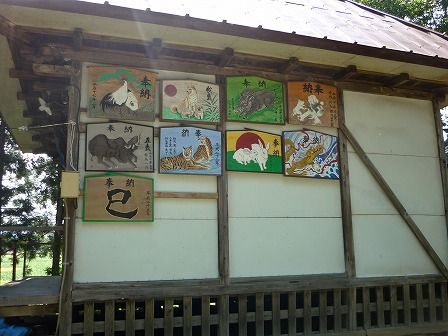 イメージ 12
