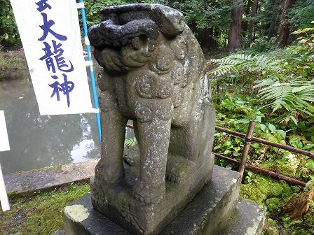 イメージ 46