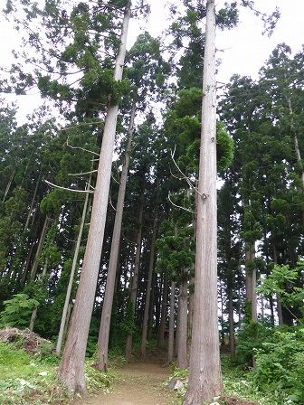 イメージ 4