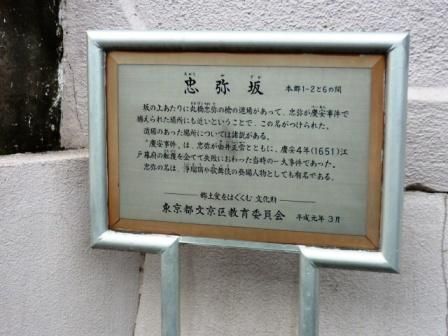 イメージ 10