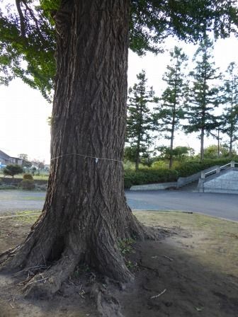 イメージ 59