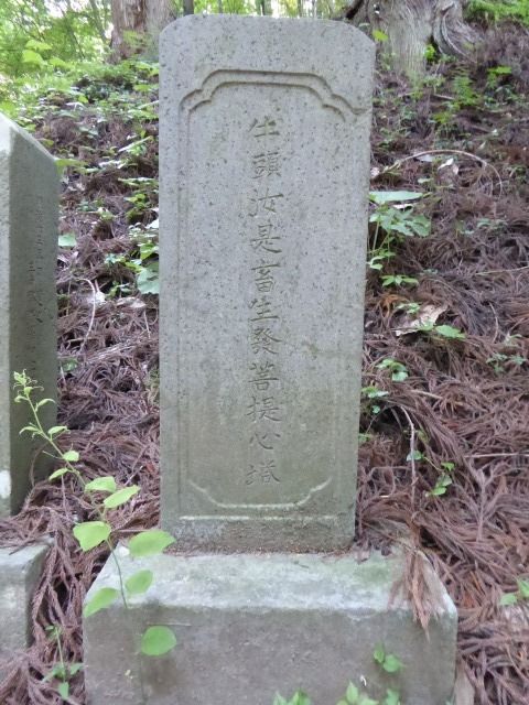 イメージ 41