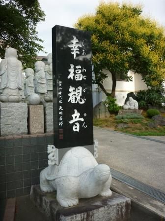 イメージ 6