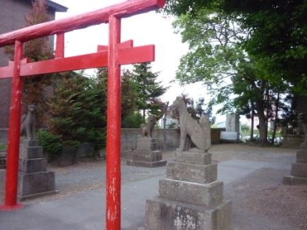 イメージ 19