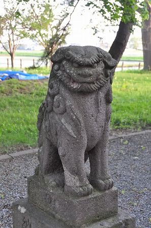 イメージ 25