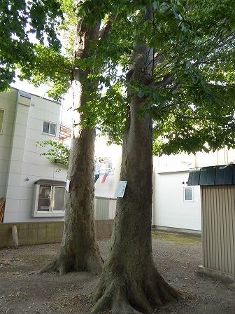 イメージ 21