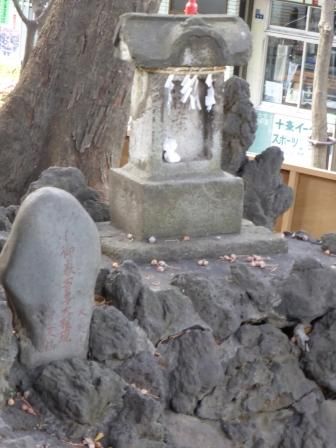 イメージ 18