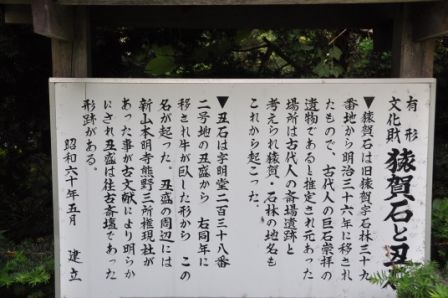 イメージ 6