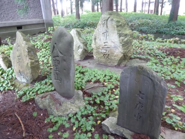 イメージ 57