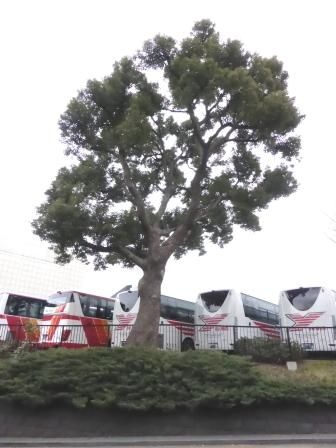 イメージ 19