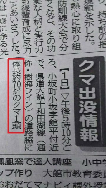 イメージ 13
