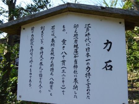 イメージ 20