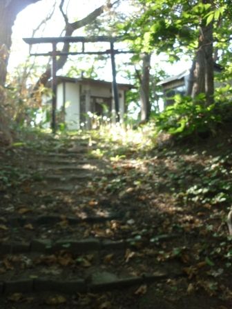 イメージ 16
