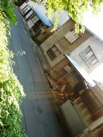 イメージ 16