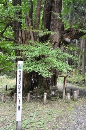 イメージ 15