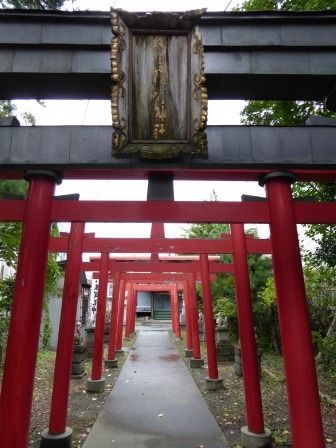 イメージ 8