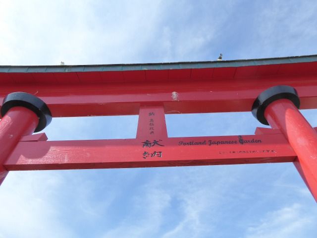 イメージ 14
