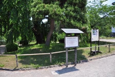 イメージ 37