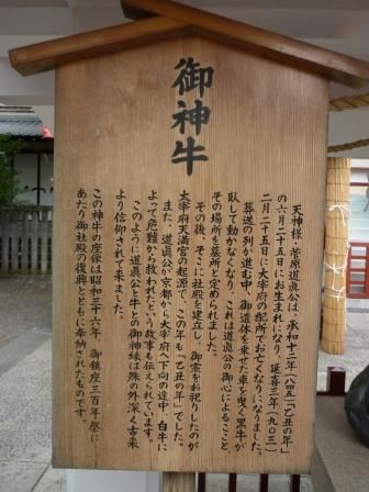 イメージ 51