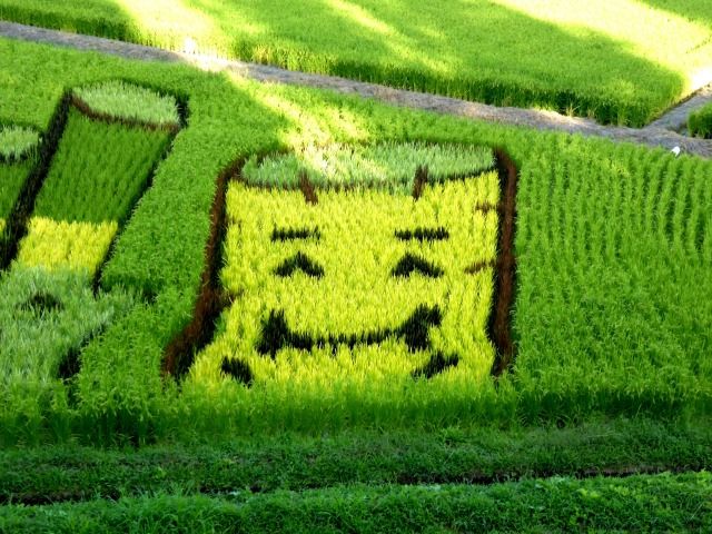 イメージ 11