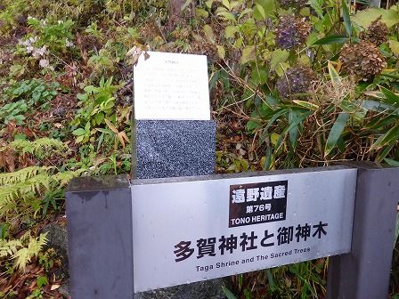 イメージ 12