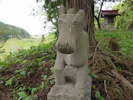 イメージ 9