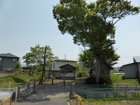 イメージ 1