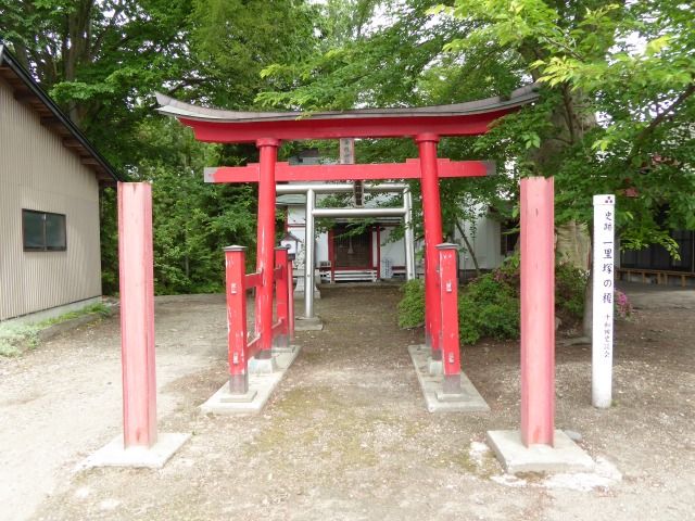 金精神社 へそ下神社 鹿角市 くぐる鳥居は鬼ばかり 金精神社 へそ下神社 鹿角市 くぐる鳥居は鬼ばかり
