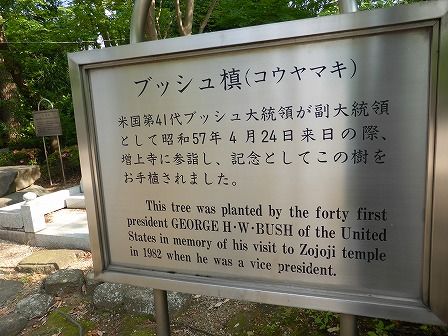 イメージ 19