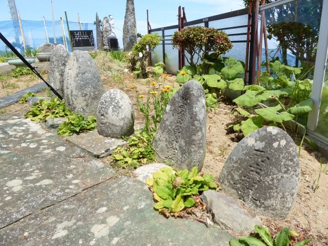 イメージ 18