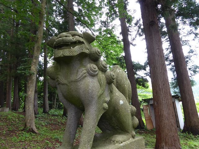 イメージ 15