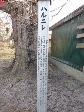 イメージ 19
