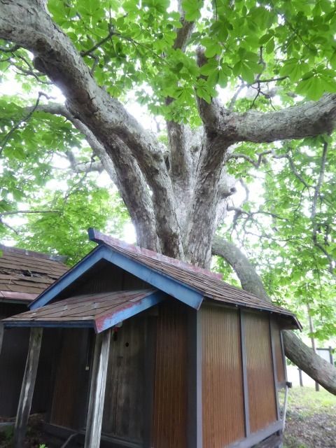 イメージ 14
