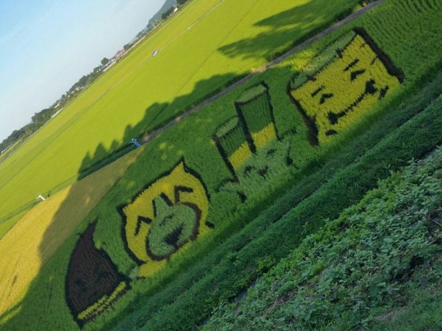 六日町田んぼアート 十和田市 くぐる鳥居は鬼ばかり 六日町田んぼアート 十和田市 くぐる鳥居は鬼ばかり