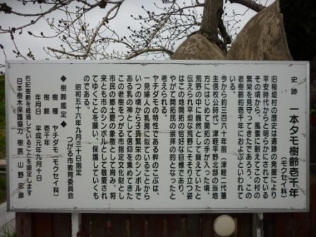 イメージ 11