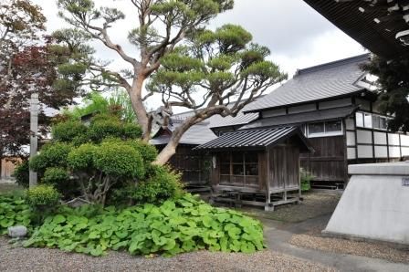 イメージ 7