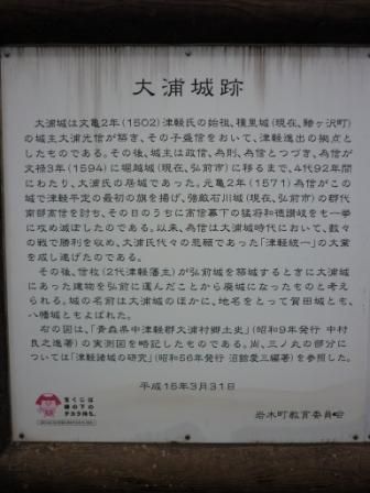 イメージ 12