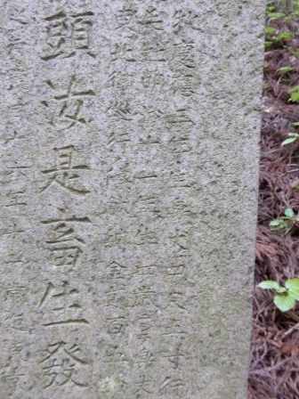 イメージ 44