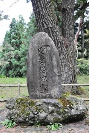 イメージ 7